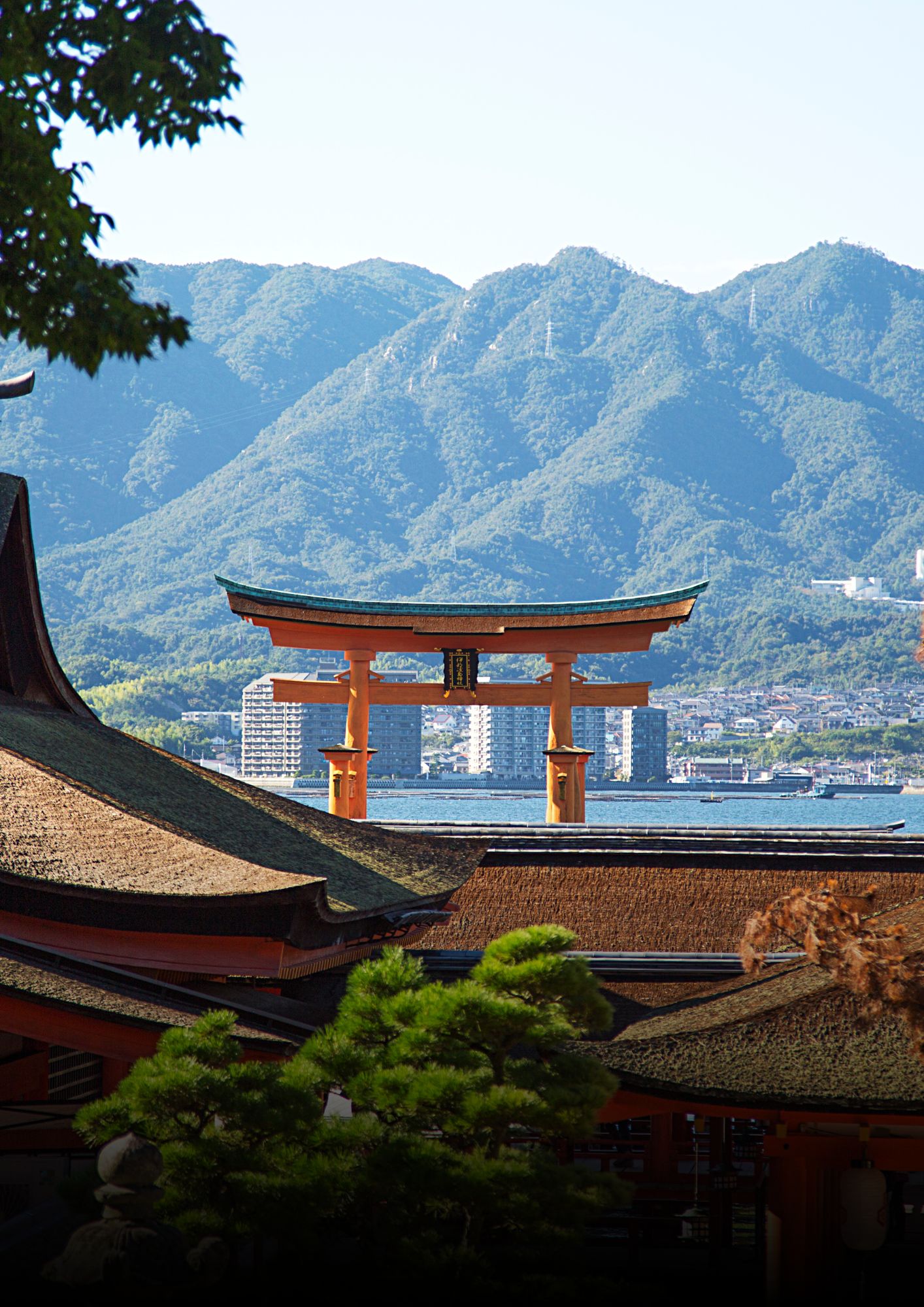 Feliz cumpleaños a la mejor esposa del mundo mundial @catyserna #teamo 💙, image size:1414x2000