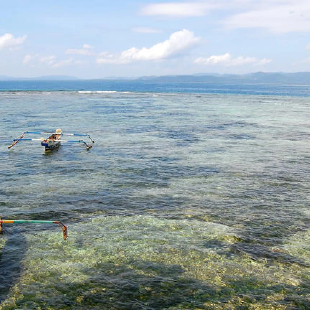 Galeria-2024-02-14T165023.053