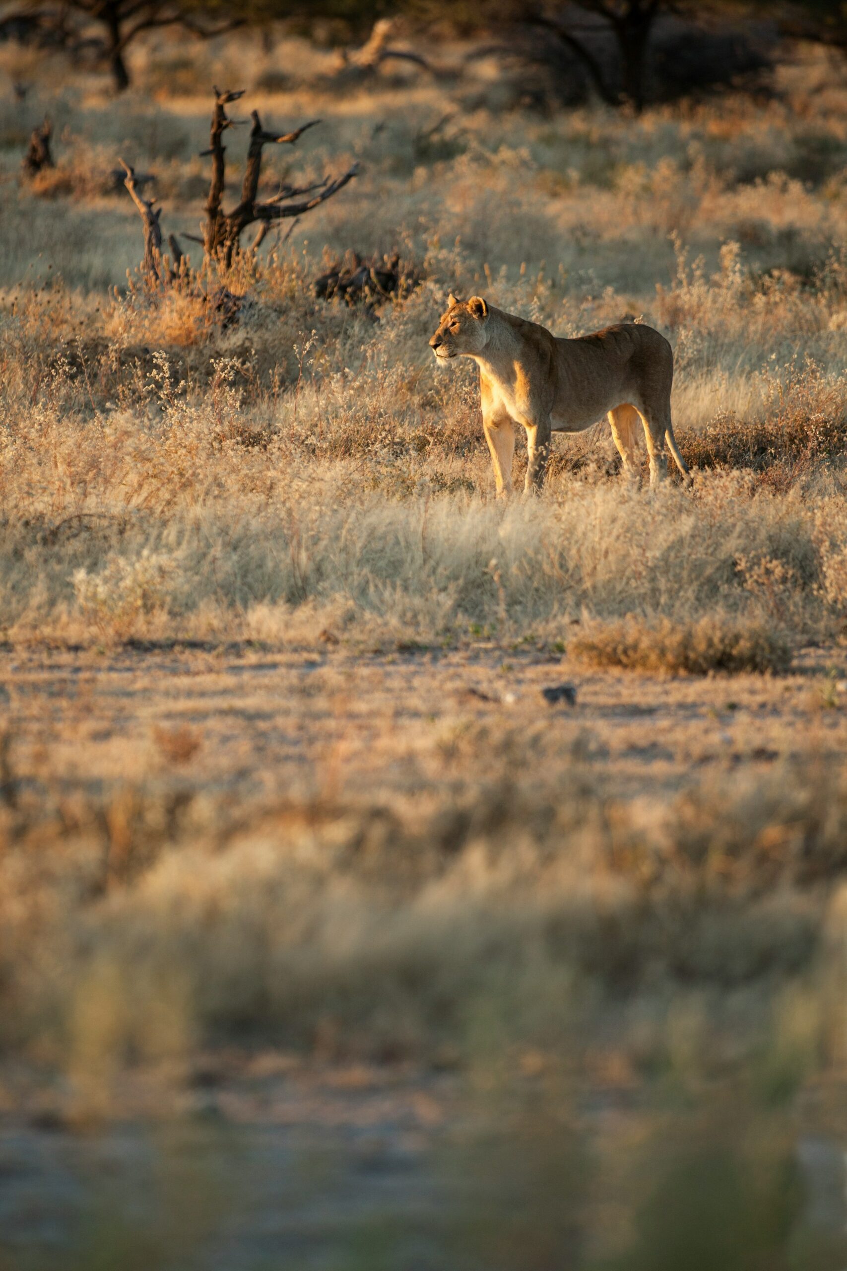 getty-images-KPEEei788Bc-unsplash