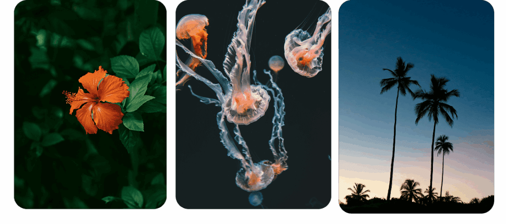 Guía de viaje Polinesia Francesa